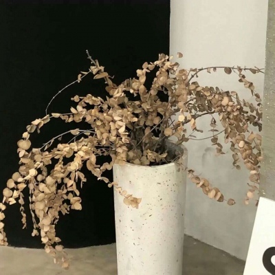 兽设火山场景创作FurryQQ群